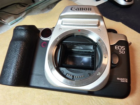Read more about the article Canon Nikon / Canon EOS50